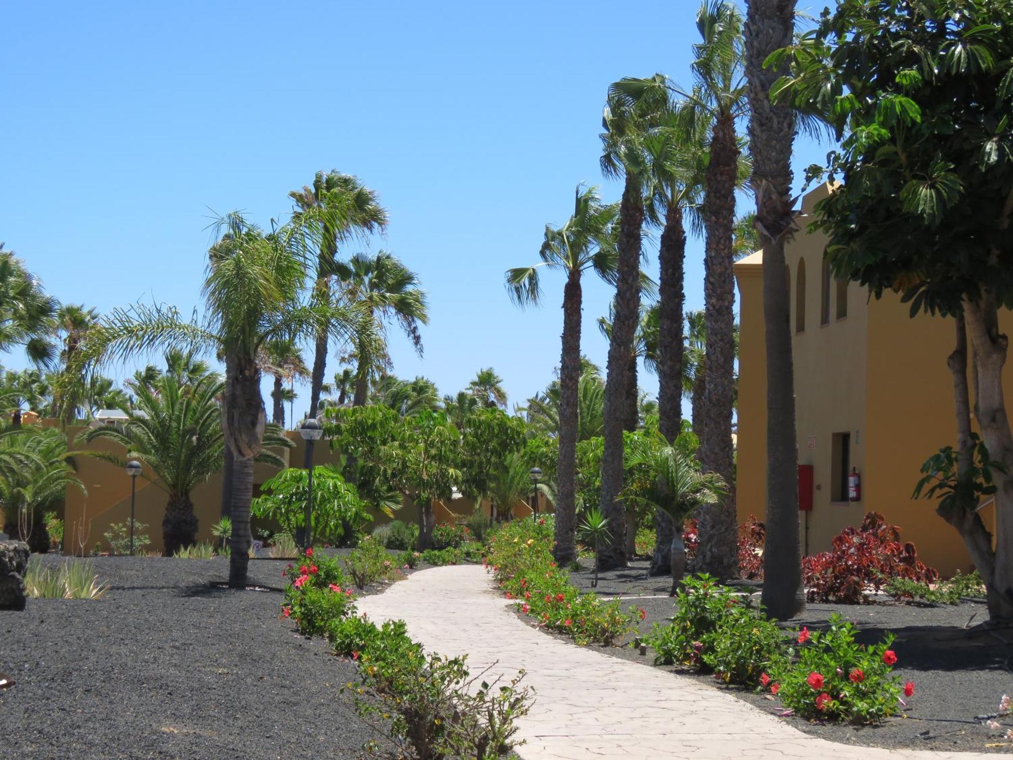 Casa Mona Apartment Corralejo Exterior foto